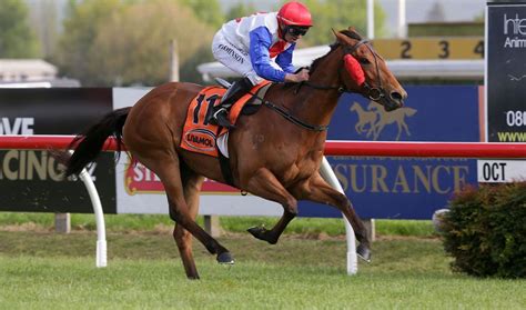 nz horse racing results|NZ Race Results .